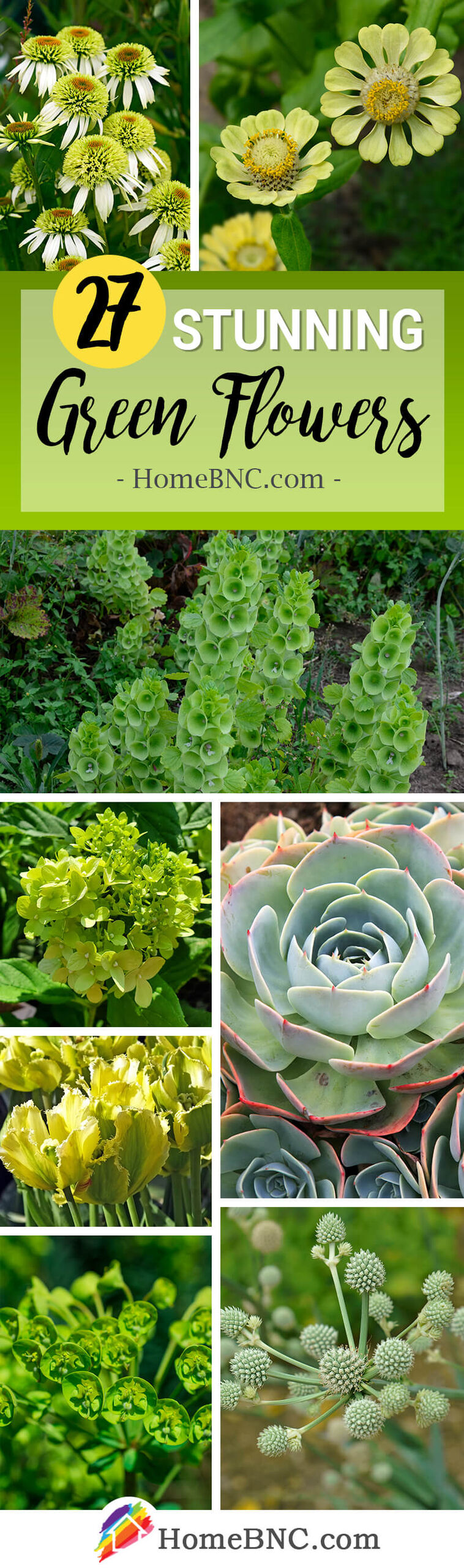 Green Flowers