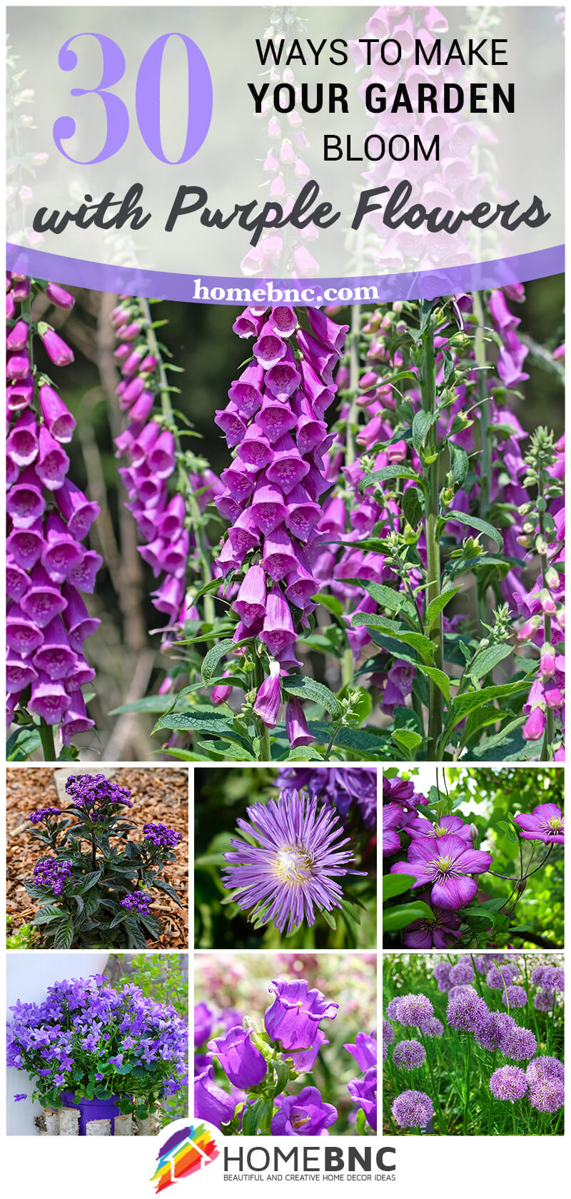 Purple Flowers