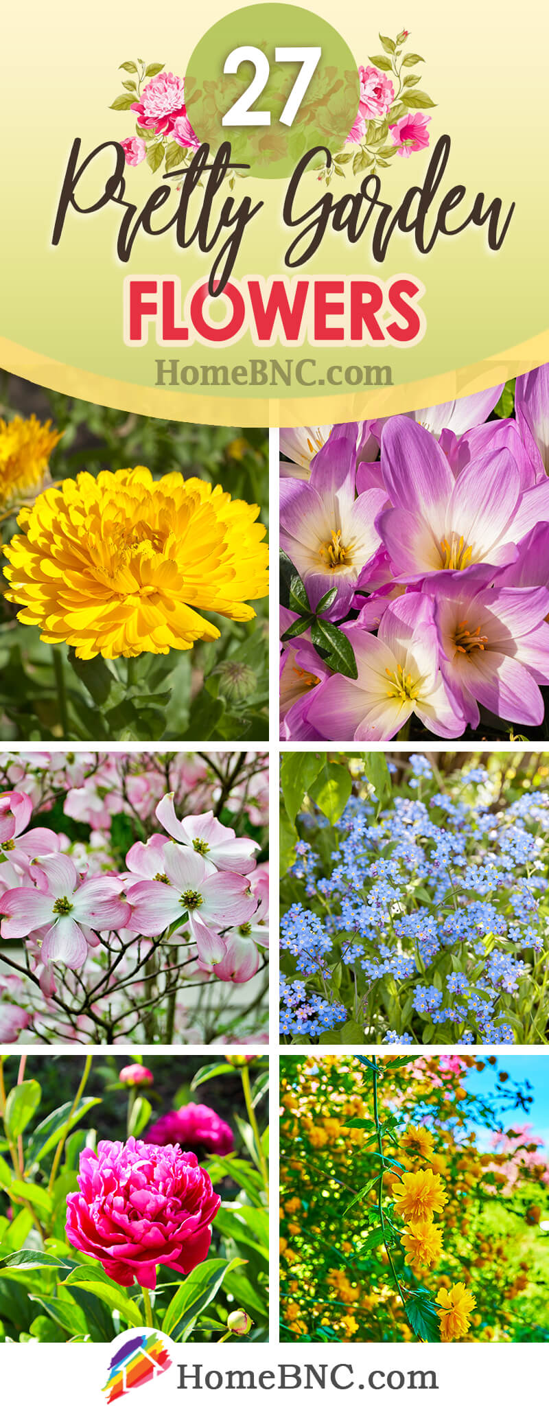 Garden Flowers