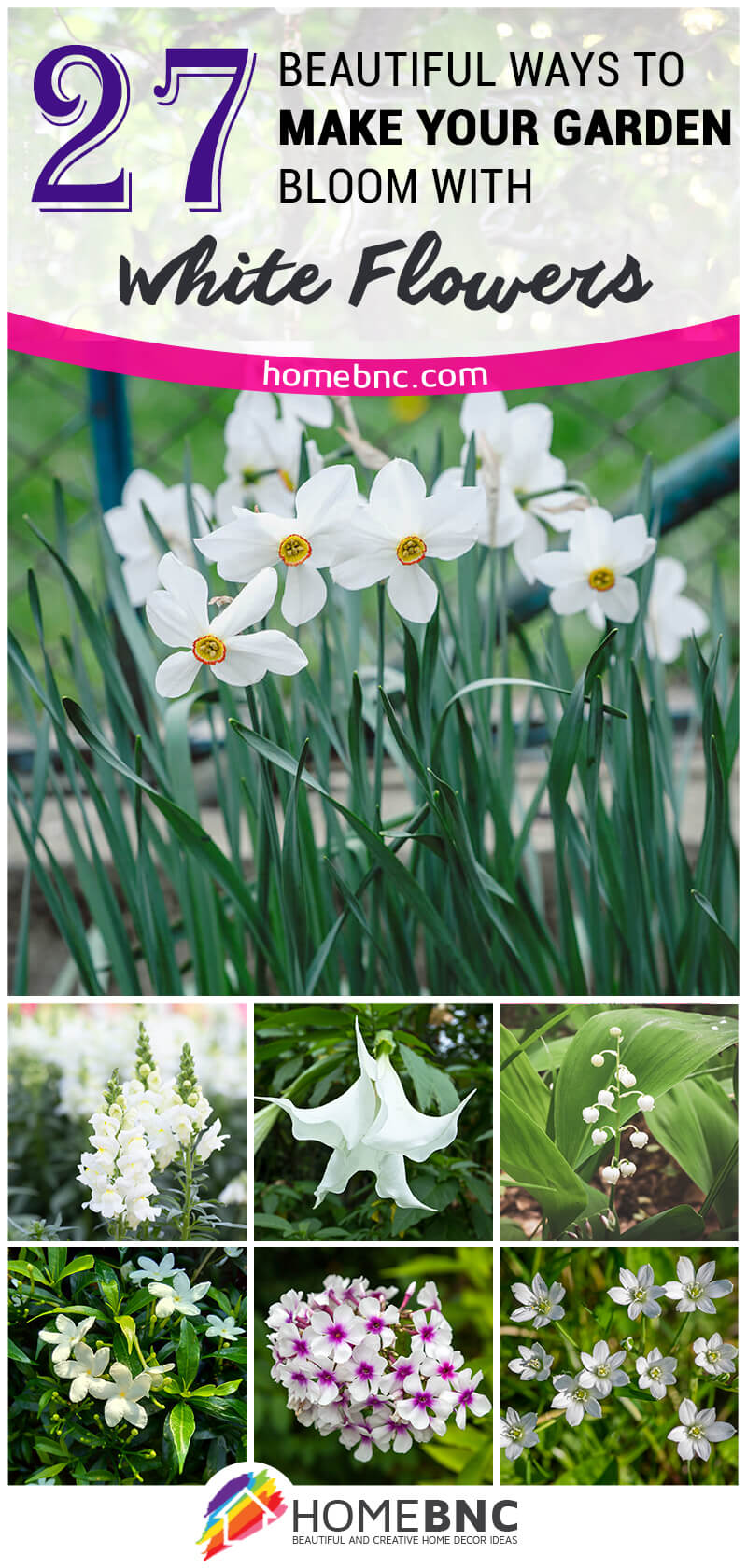 White Flowers