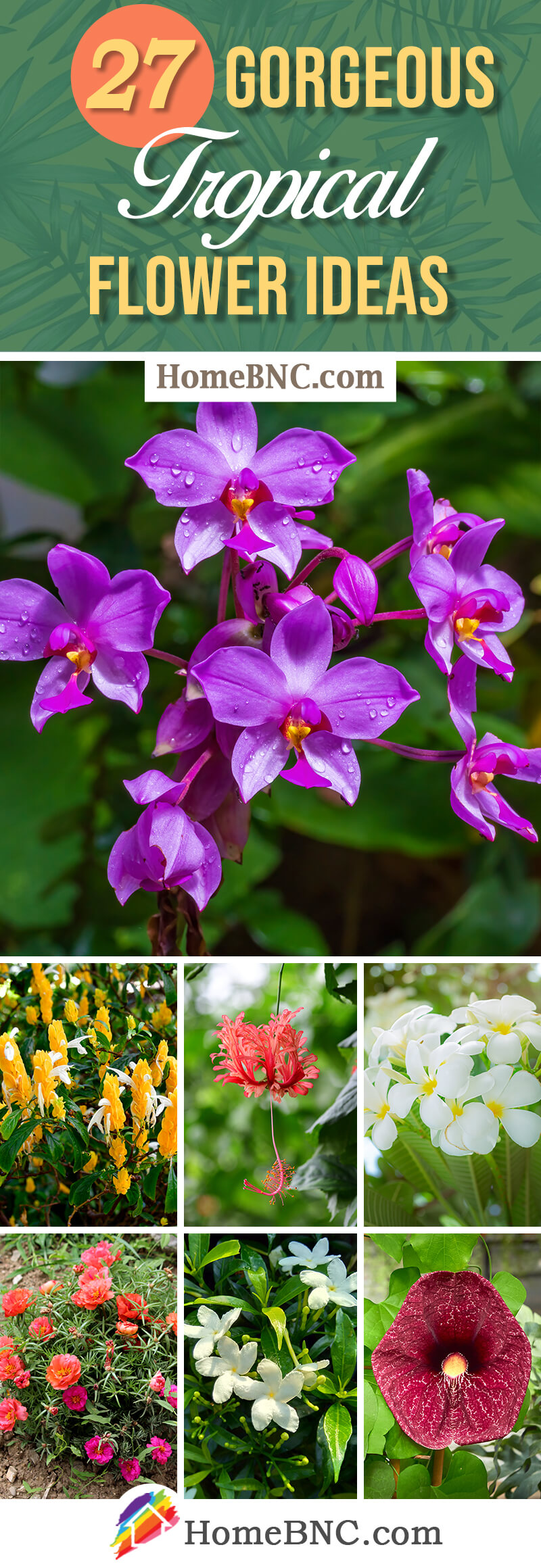 Tropical Flowers