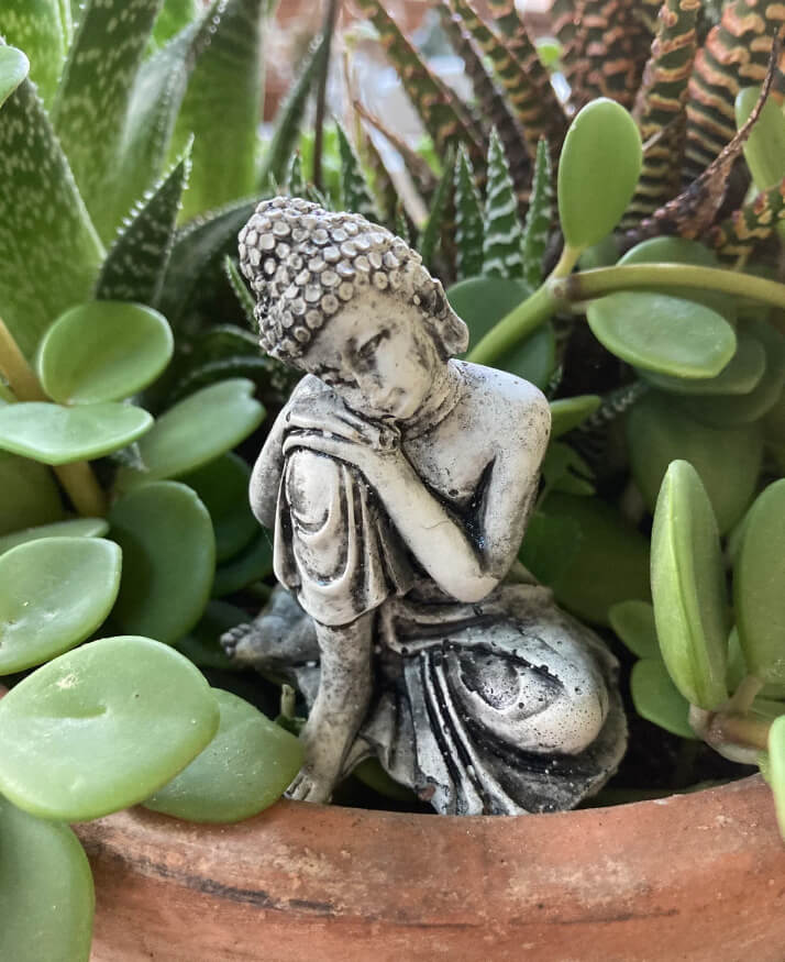 The Best Buddha Decor Ideas for Plants