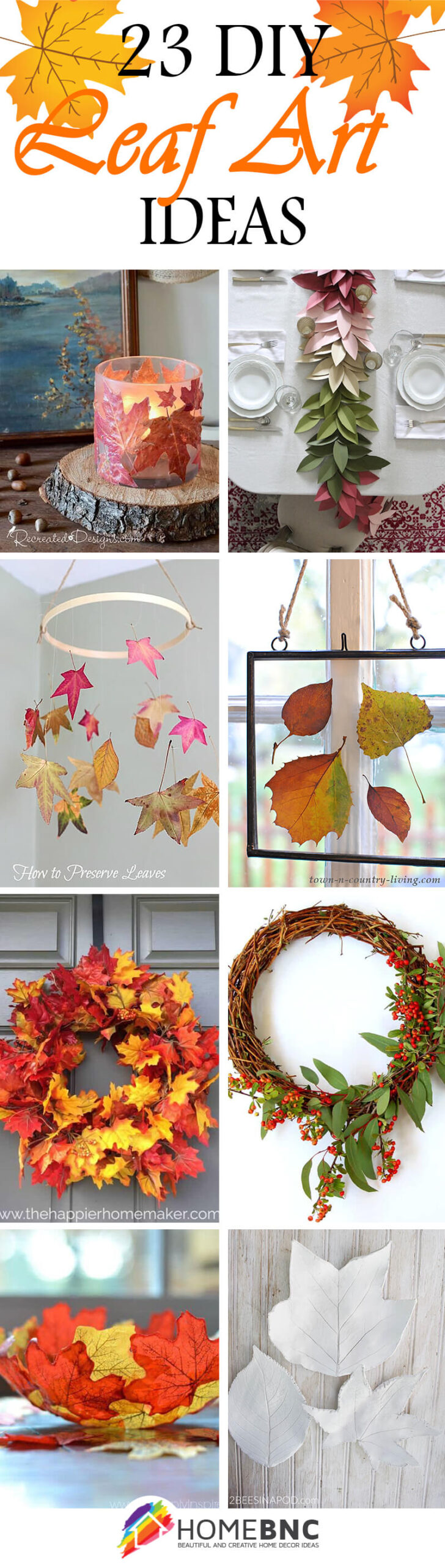 Best DIY Leaf Art