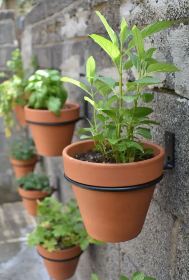 Simple Hanging Vertical Herb Garden