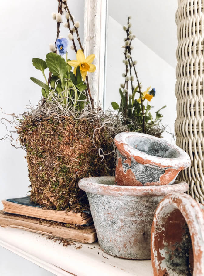 Spring Flowers with Moss Pots