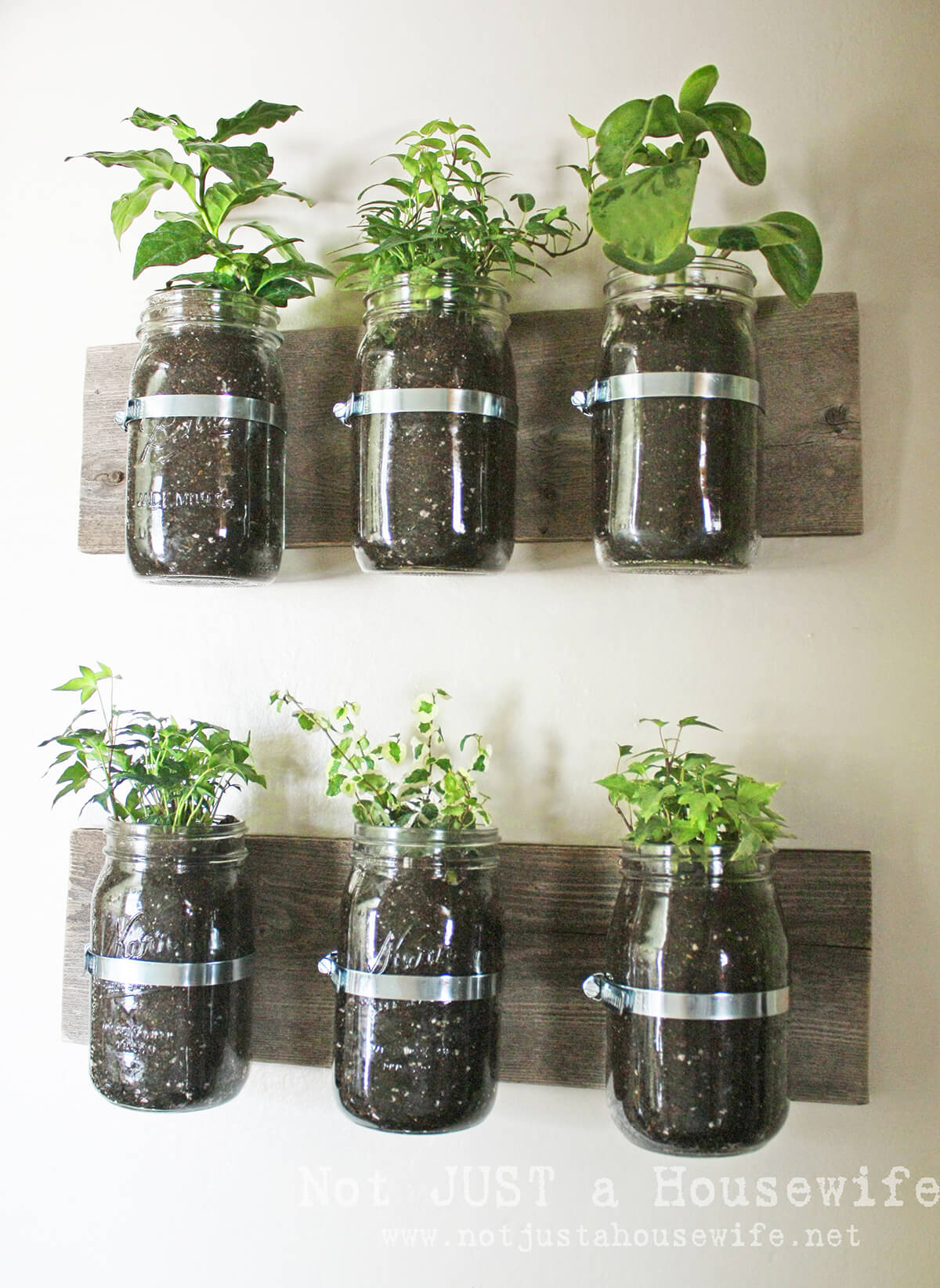 Wall Hanging Mason Jar Planters