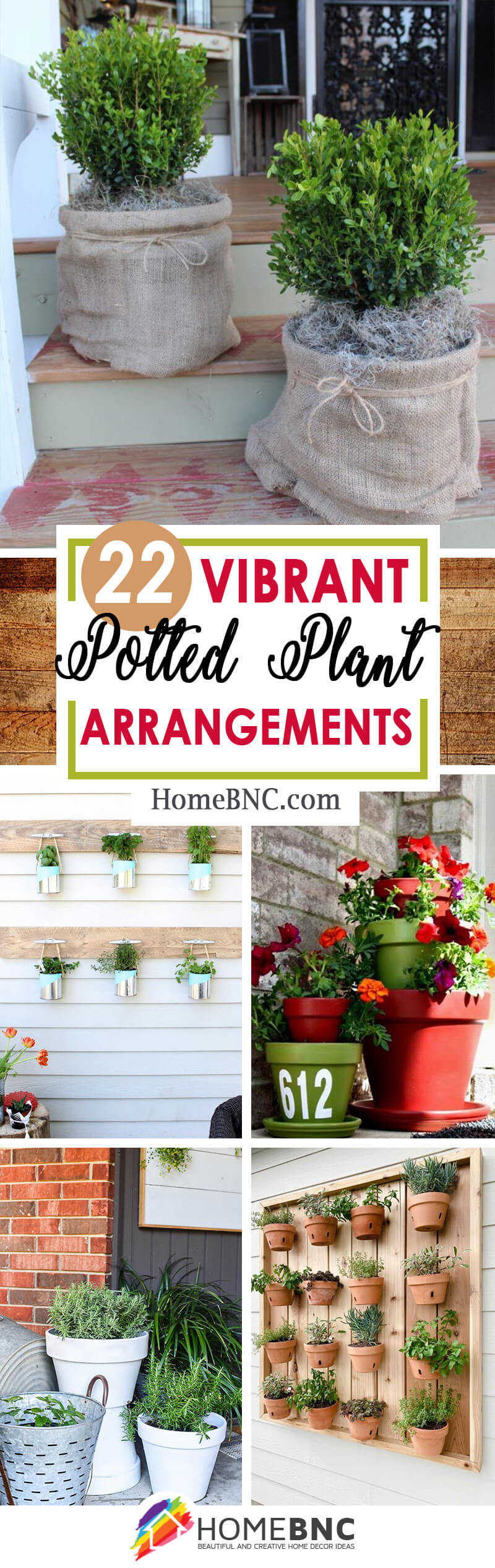 Potted Plant Arrangement Ideas