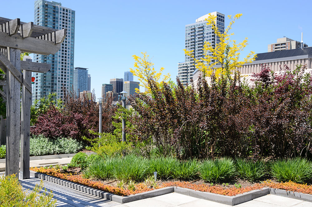 Therapeutic roof gardens