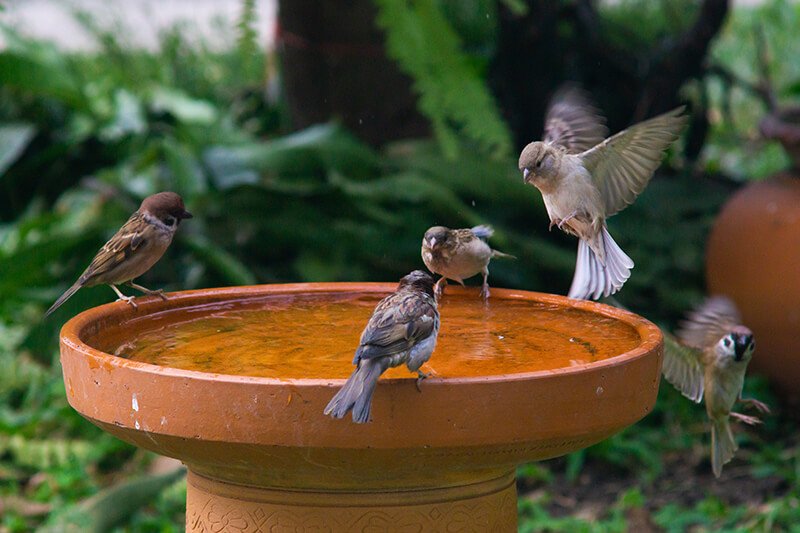 Bases for DIY bird baths