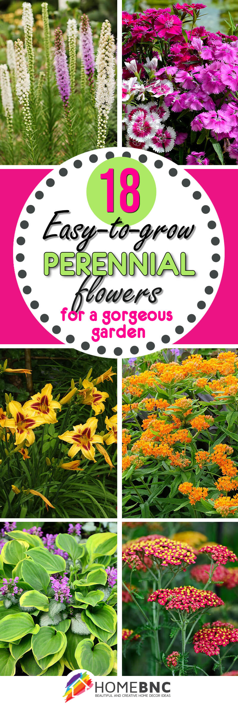 Easy to grow perennial flowers