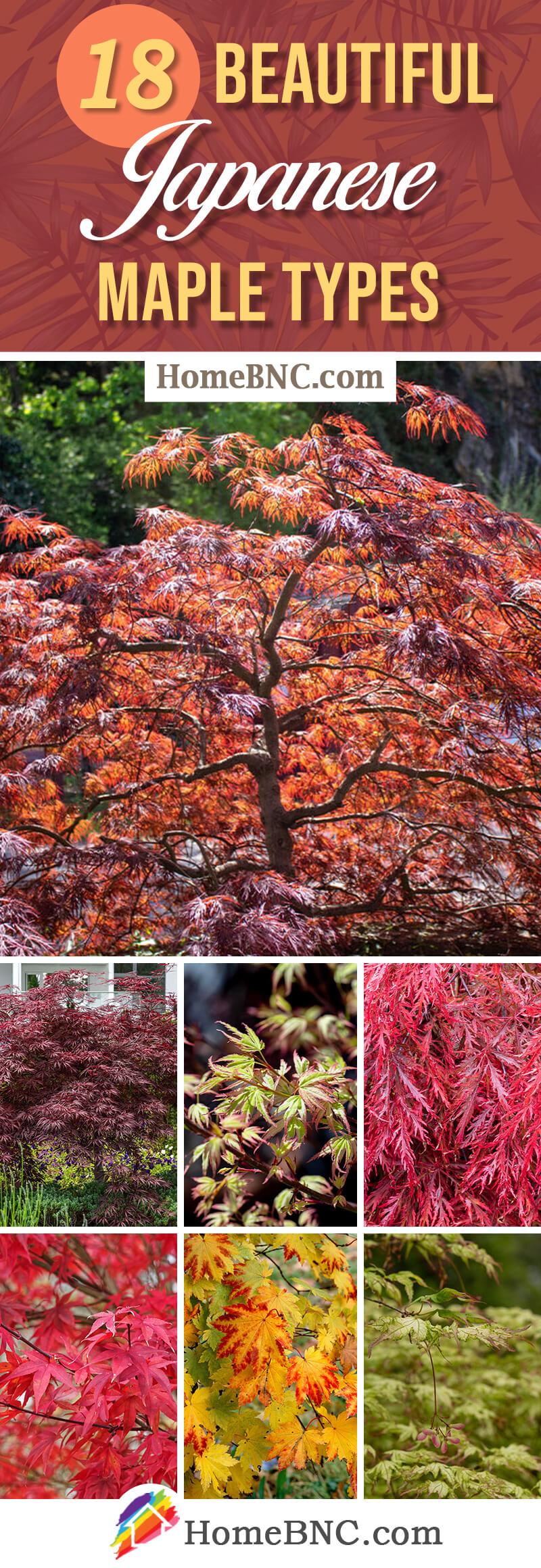 Types of Japanese Maples